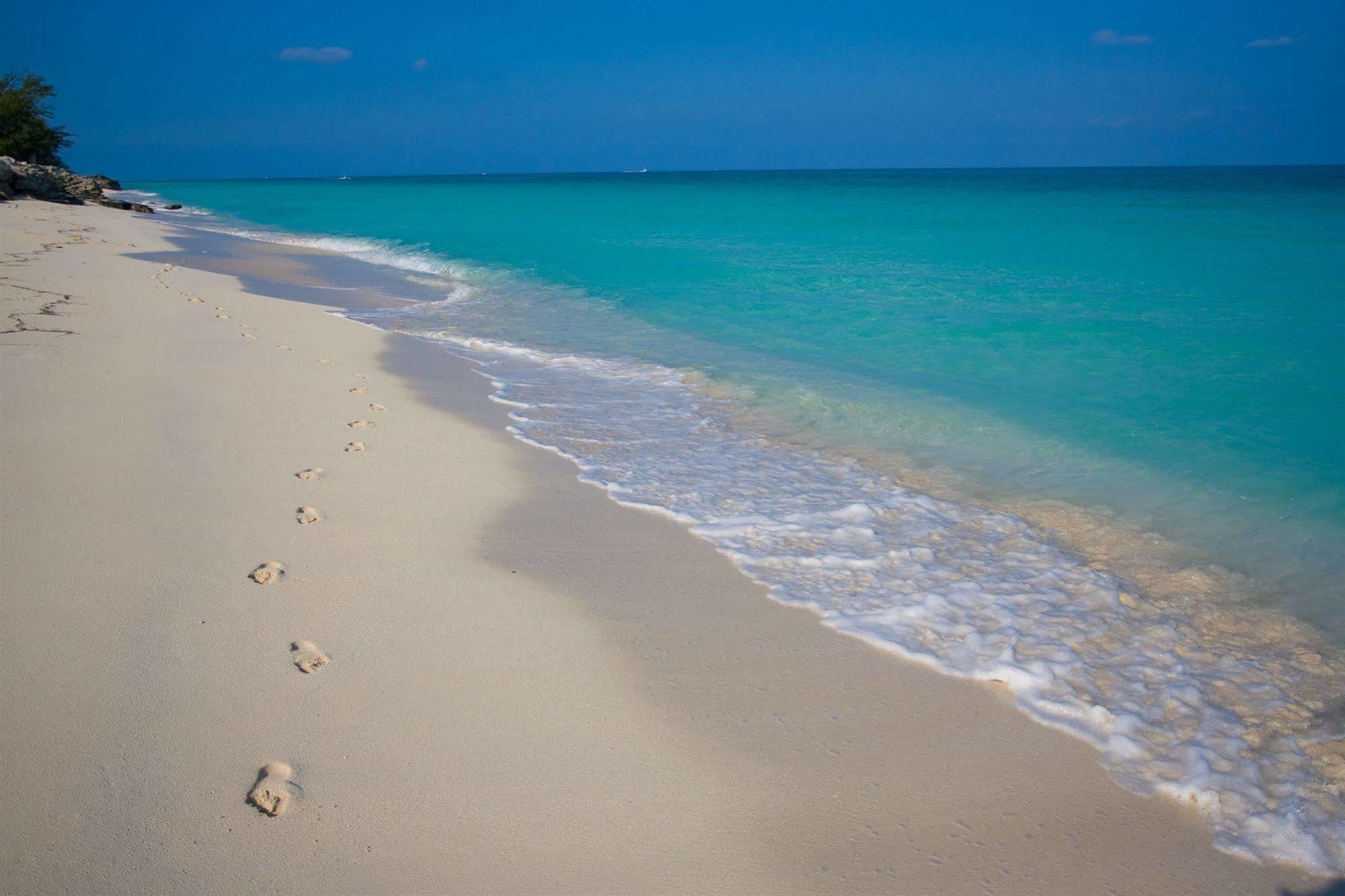 Resorts World Bimini Bayley Town Dış mekan fotoğraf